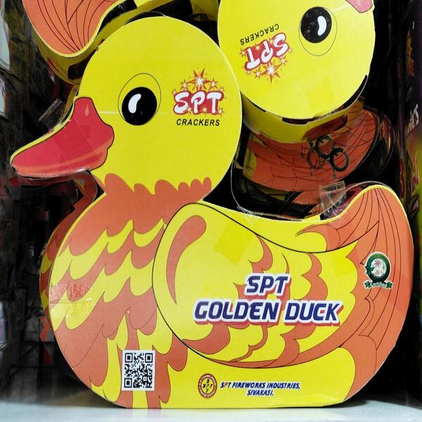 GOLDEN DUCK