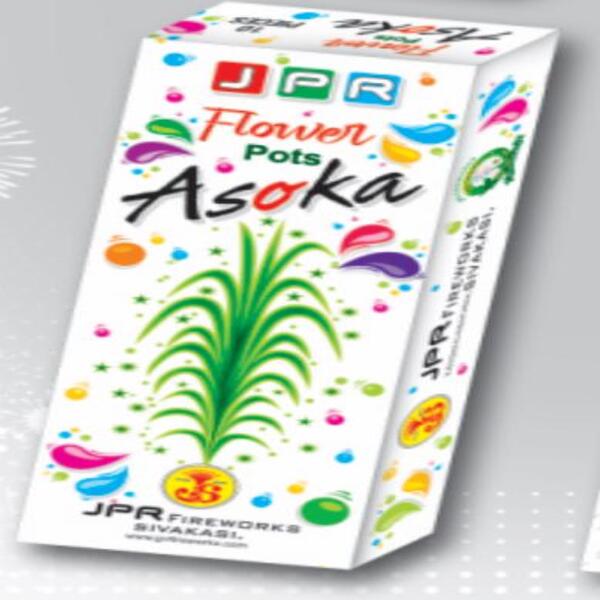 FLOWER POT ASOKA